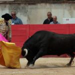 Nimes, domingo 9 de junio de 2019. Matinal