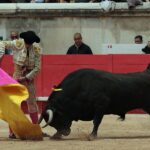 Nimes, domingo 9 de junio de 2019. Matinal