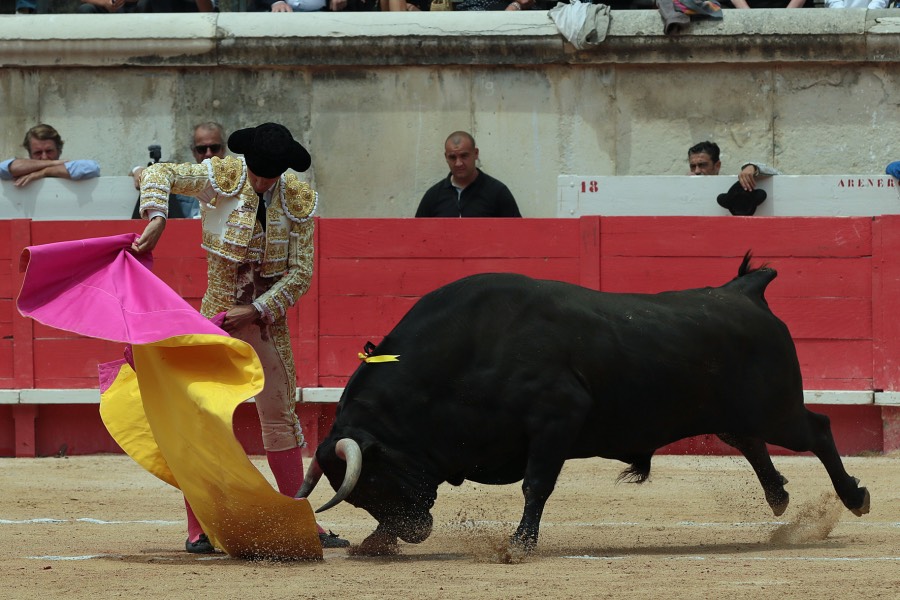 Nimes, domingo 9 de junio de 2019. Matinal