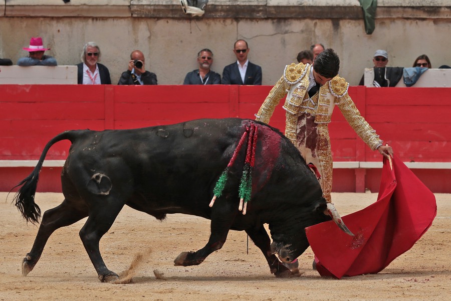 Nimes, domingo 9 de junio de 2019. Matinal