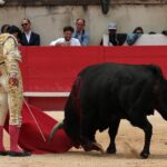 Nimes, domingo 9 de junio de 2019. Matinal