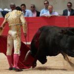 Nimes, domingo 9 de junio de 2019. Matinal