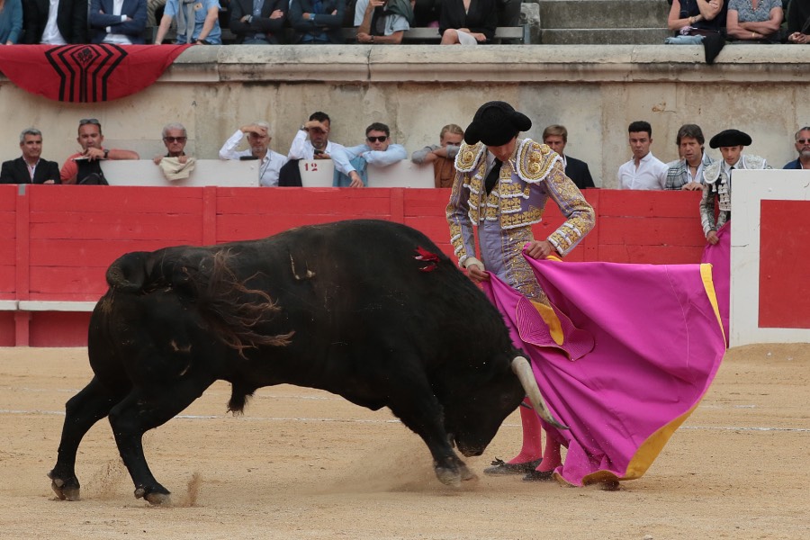 Nimes, domingo 9 de junio de 2019. Tarde