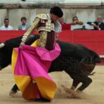 Nimes, domingo 9 de junio de 2019. Tarde