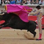 Nimes, domingo 9 de junio de 2019. Tarde