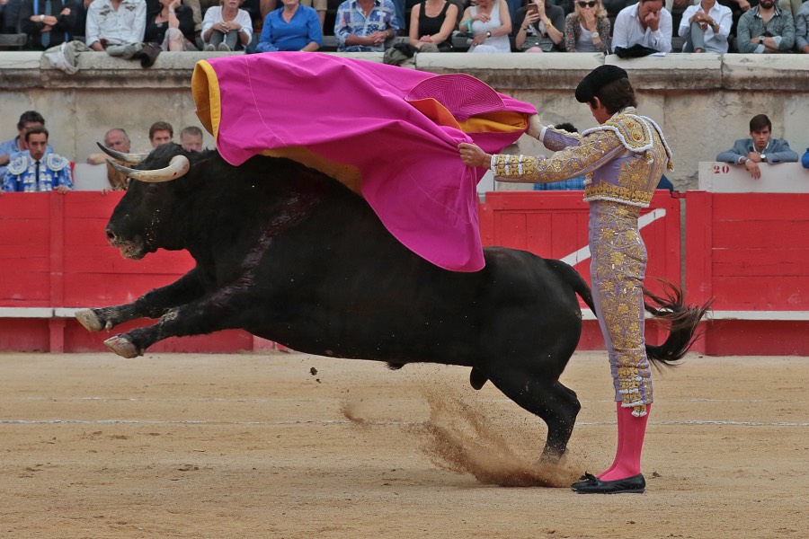 Nimes, domingo 9 de junio de 2019. Tarde