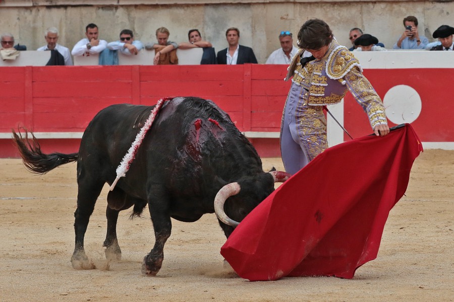 Nimes, domingo 9 de junio de 2019. Tarde