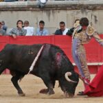 Nimes, domingo 9 de junio de 2019. Tarde