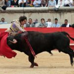 Nimes, domingo 9 de junio de 2019. Tarde