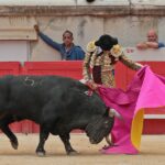 Nimes, domingo 9 de junio de 2019. Tarde