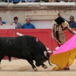 Nimes, domingo 9 de junio de 2019. Tarde