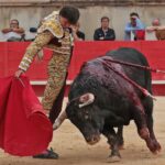 Nimes, domingo 9 de junio de 2019. Tarde