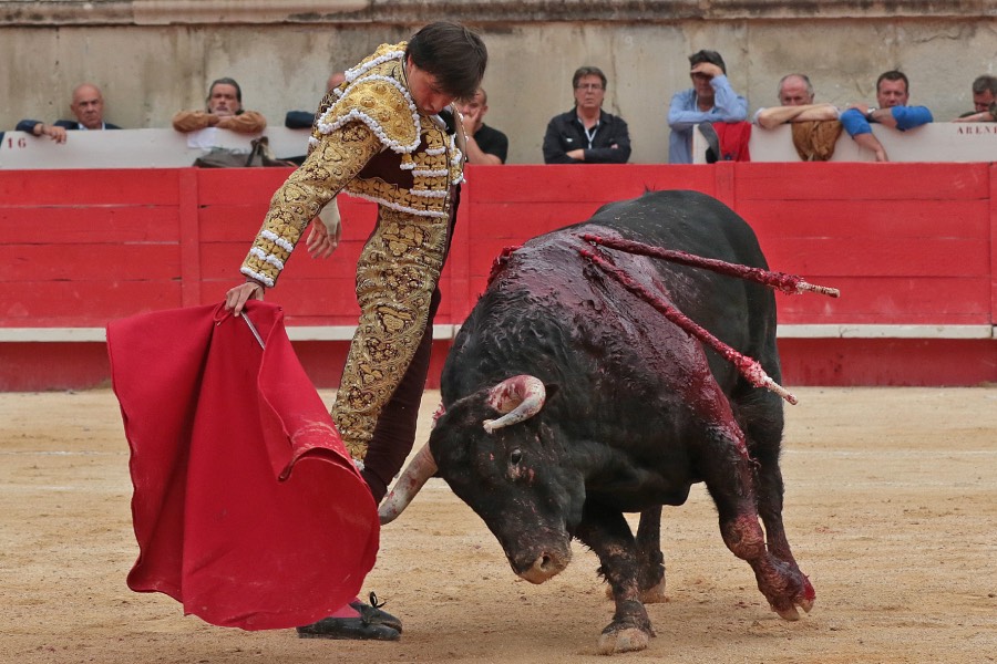 Nimes, domingo 9 de junio de 2019. Tarde