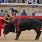 Nimes, domingo 9 de junio de 2019. Tarde