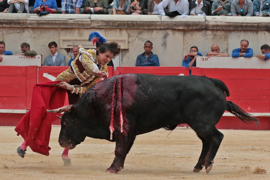 Nimes, domingo 9 de junio de 2019. Tarde