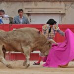 Nimes, domingo 9 de junio de 2019. Tarde