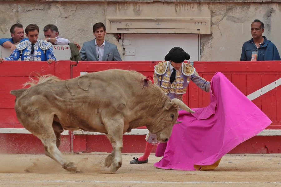 Nimes, domingo 9 de junio de 2019. Tarde