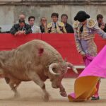Nimes, domingo 9 de junio de 2019. Tarde