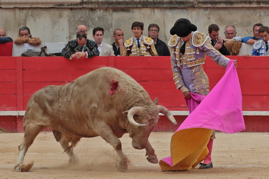 Nimes, domingo 9 de junio de 2019. Tarde