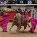 Nimes, domingo 9 de junio de 2019. Tarde