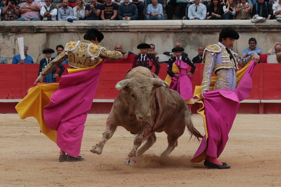 Nimes, domingo 9 de junio de 2019. Tarde
