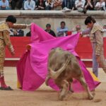 Nimes, domingo 9 de junio de 2019. Tarde
