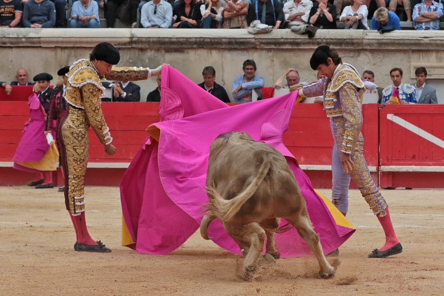 Nimes, domingo 9 de junio de 2019. Tarde
