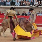 Nimes, domingo 9 de junio de 2019. Tarde