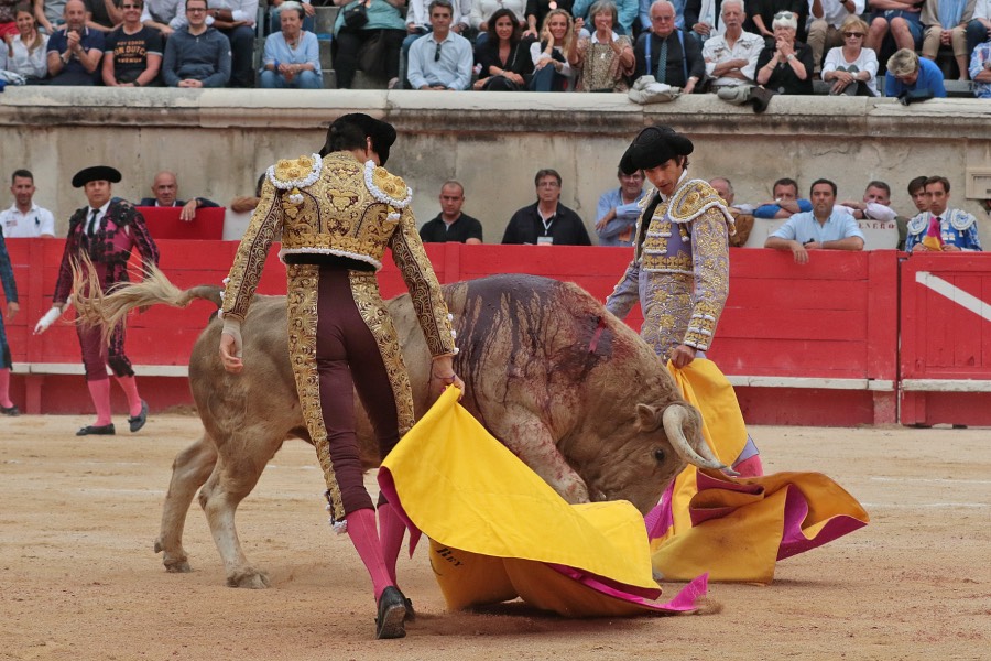 Nimes, domingo 9 de junio de 2019. Tarde
