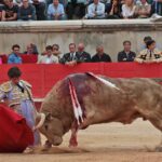 Nimes, domingo 9 de junio de 2019. Tarde