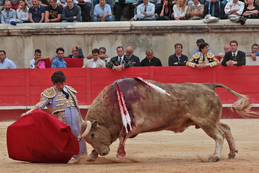 Nimes, domingo 9 de junio de 2019. Tarde