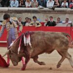 Nimes, domingo 9 de junio de 2019. Tarde