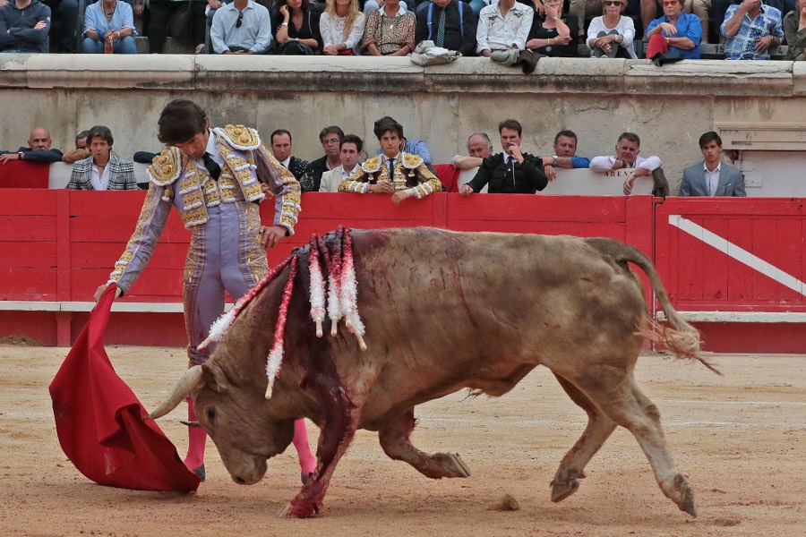 Nimes, domingo 9 de junio de 2019. Tarde