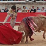Nimes, domingo 9 de junio de 2019. Tarde
