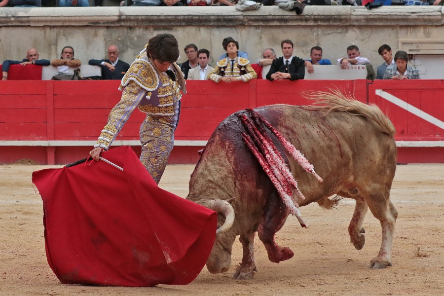 Nimes, domingo 9 de junio de 2019. Tarde