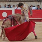 Nimes, domingo 9 de junio de 2019. Tarde