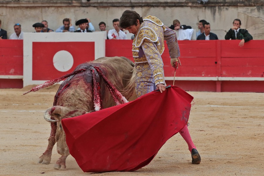 Nimes, domingo 9 de junio de 2019. Tarde
