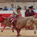 Nimes, domingo 9 de junio de 2019. Tarde