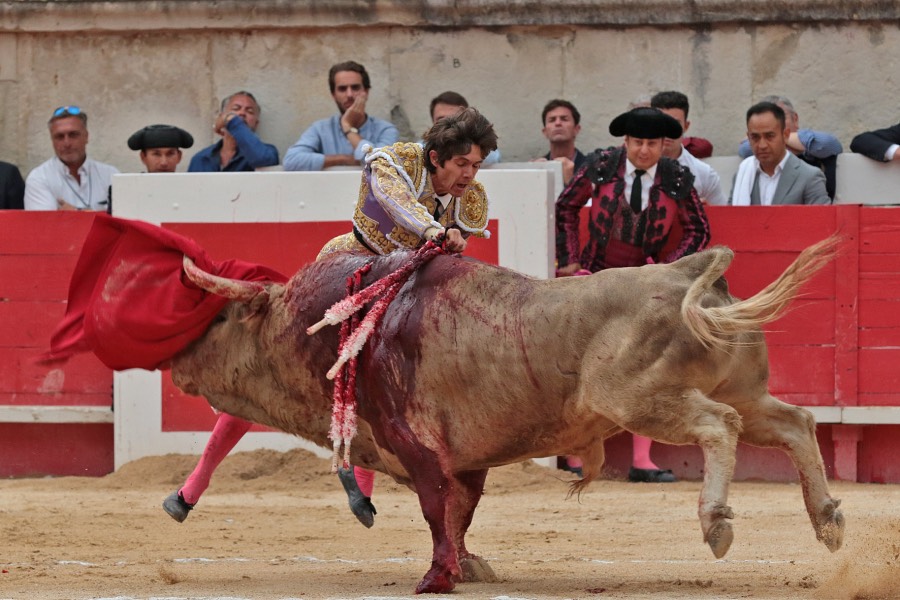 Nimes, domingo 9 de junio de 2019. Tarde