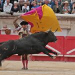 Nimes, domingo 9 de junio de 2019. Tarde
