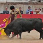 Nimes, domingo 9 de junio de 2019. Tarde