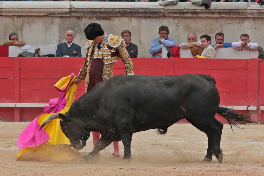 Nimes, domingo 9 de junio de 2019. Tarde