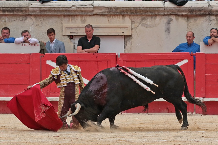 Nimes, domingo 9 de junio de 2019. Tarde