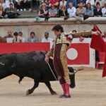 Nimes, domingo 9 de junio de 2019. Tarde