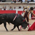Nimes, domingo 9 de junio de 2019. Tarde