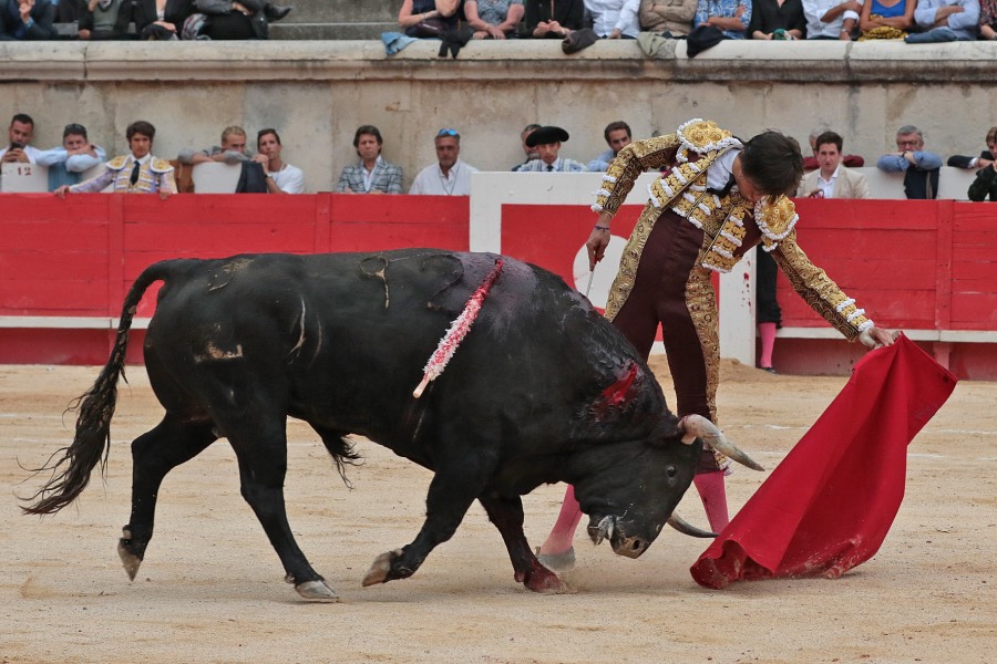 Nimes, domingo 9 de junio de 2019. Tarde