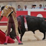 Nimes, domingo 9 de junio de 2019. Tarde