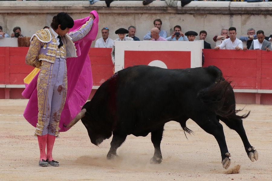 Nimes, domingo 9 de junio de 2019. Tarde