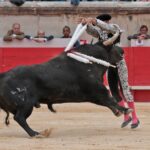 Nimes, domingo 9 de junio de 2019. Tarde