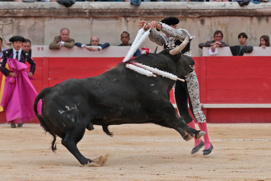 Nimes, domingo 9 de junio de 2019. Tarde